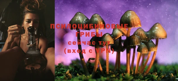 дурь Абдулино