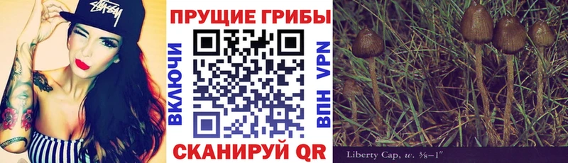 Псилоцибиновые грибы Psilocybine cubensis  дарк нет формула  Черкесск  OMG зеркало 